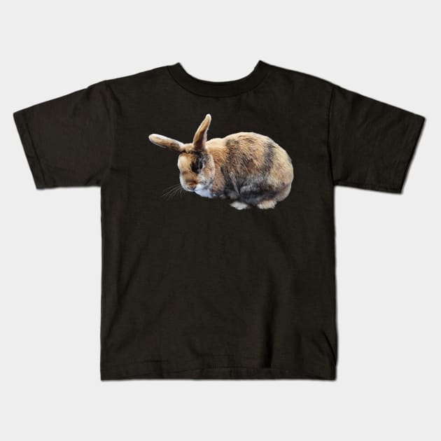 Brown and Tan Rabbit Kids T-Shirt by SusanSavad